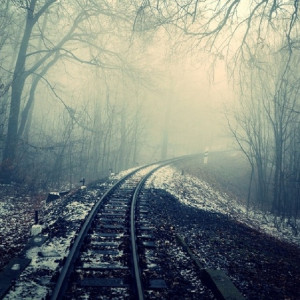 Во Владимирской области нашли мертвым 49-летнего мужчину с седыми волосами