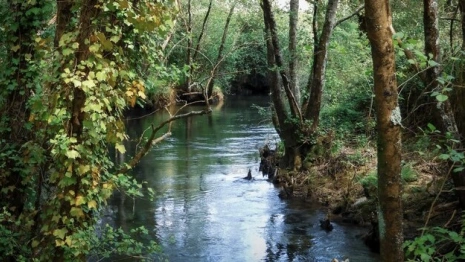 Во Владимире с 15 января приступят к благоустройству парка у ДТЮ