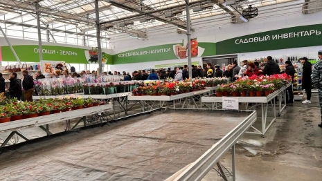 Владимирцы 8 марта штурмовали тепличный комбинат ради покупки цветов