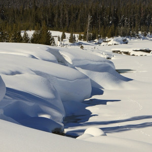 Парамон Зимоуказатель: что можно и нельзя делать 12 декабря