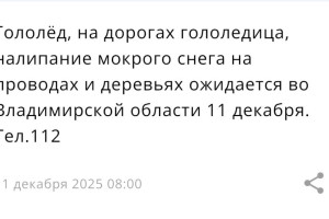 МЧС предупредило жителей Владимирской области о гололедице 11 декабря