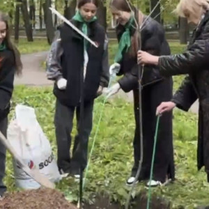 В Центральном парке Владимира высадили 10 красных дубов