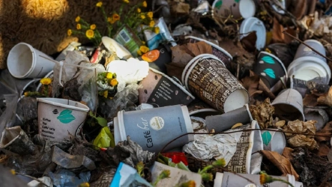 Жители Владимирской области стали меньше жаловаться на плохую уборку мусора 