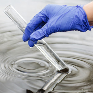 Во Владимире начали проверку реки Рпень из-за возможного загрязнения