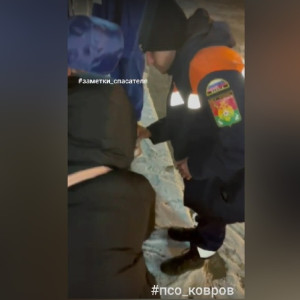 В Коврове у ребенка язык прилип к металлической стене