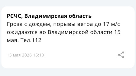 МЧС предупредило о грозе с дождем и сильном ветре во Владимирской области