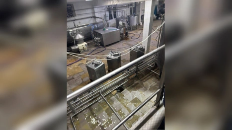 Молокозавод во Владимирской области уличили в нарушениях