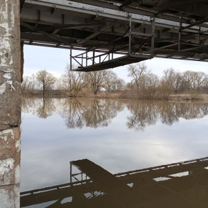 Во Владимирской области 2 села могут быть отрезаны из-за подъема воды в Оке