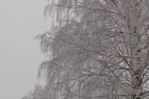 Прогноз погоды во Владимире и области на 1 февраля