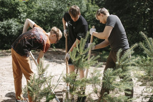 Во Владимире появилась Аллея молодых докторов