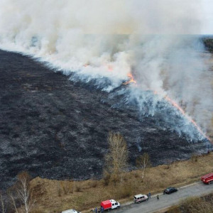 Крупный пожар во Владимирской области показали с высоты птичьего полета
