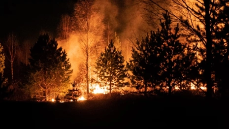 Жителям Владимирской области рассказали о 3 новых лесных пожарах 