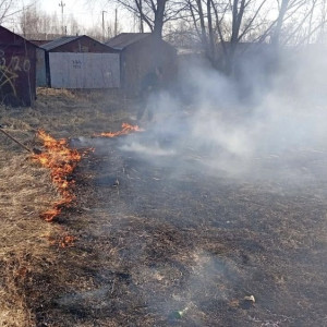 Житель Владимира помог спасателям потушить горящую траву
