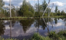 Гибель рыбы в озере Федоровское под Киржачом привела к уголовному делу