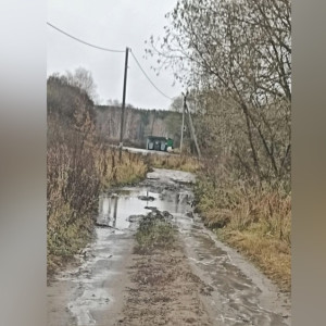 Жители Карабаново пожаловались на разбитую дорогу
