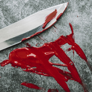 Жительница Владимирской области зарезала мужа из-за спора о прогулке с собакой