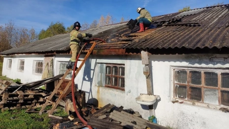 Во Владимирской области загорелось зернохранилище