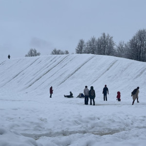 Во Владимирской области Новый год начнется с обильных снегопадов