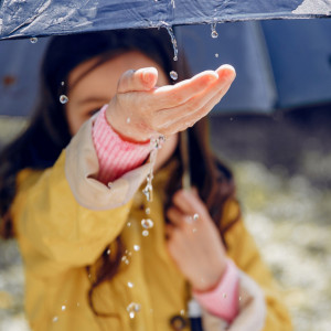 Первый день октября во Владимирской области будет дождливым