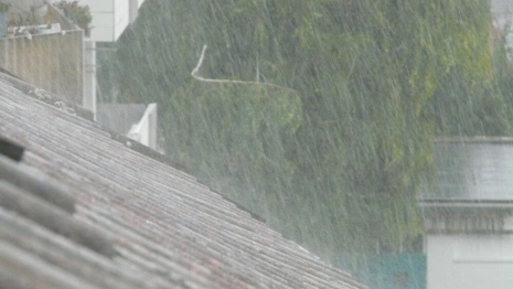 Синоптики оценили риски повторения урагана во Владимирской области