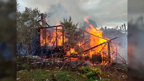 В Александровском районе деревенский дом сгорел дотла