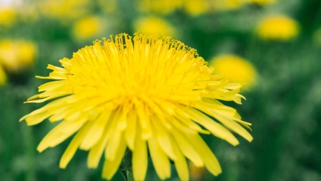 26 день Великого поста: что можно и нельзя 12 апреля