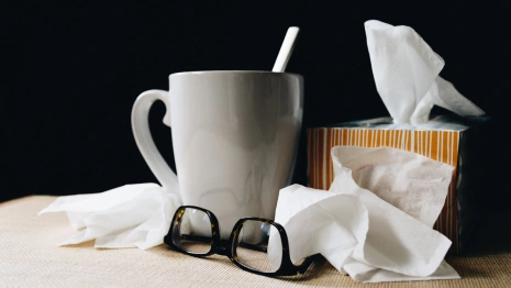 Во Владимирской области выявили первый случай заражения свиным гриппом