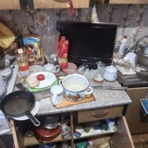 В Кольчугино 8-летняя девочка жила в свинарнике с матерью-алкоголичкой