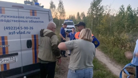 В Камешковском районе спасатели и полицейские отправились искать 72-летнего мужчину