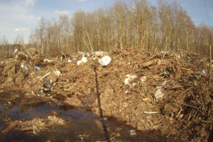 С жителя Владимирской области взыскали 5 млн рублей за захламленный участок