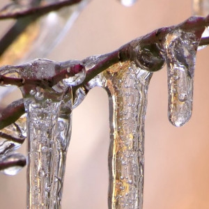 Жителям Владимирской области пообещали потепление до +1