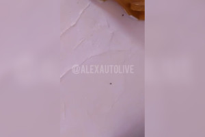 Очевидцы: в Александрове детсад №15 заполонили тараканы