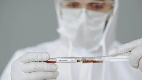 Заболеваемость COVID-19 во Владимирской области пошла в рост