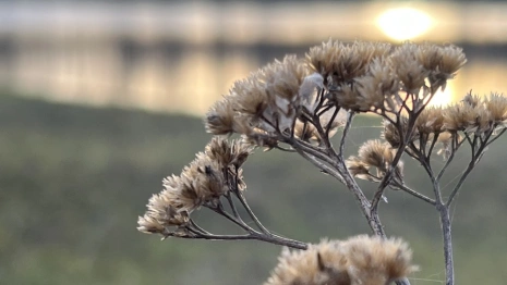 Во Владимирской области похолодает до +9 градусов