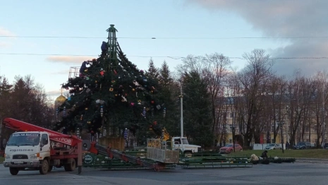 Во Владимире на Соборной площади начали собирать новогоднюю ель