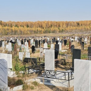 Во владимирском микрорайоне Лесной в 2024 году появится новое кладбище