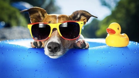 Во Владимирскую область придет новая волна жары