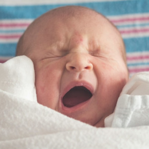 Владимирские студенты с детьми смогут нанять «социальную няню»