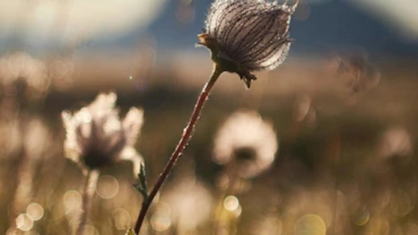 Прогноз погоды во Владимирской области на 16 августа