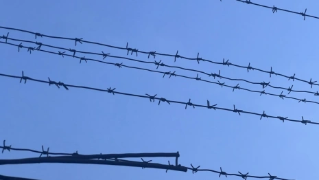 Жителя Владимирской области осудили на 12 лет за заключение контракта с ВСУ