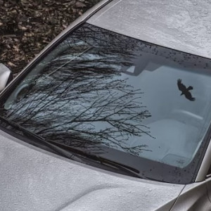 Жителя Владимира будут судить за порчу иномарки бывшей возлюбленной