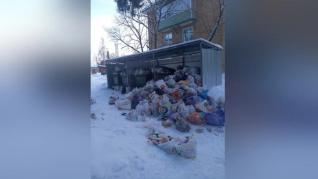 Поселок во Владимирской области утонул в мусоре