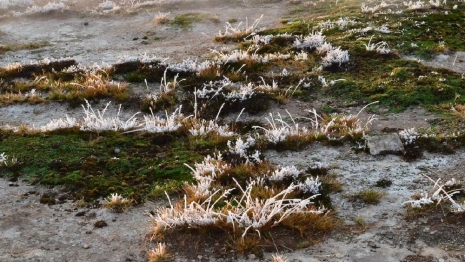 Во Владимирской области на рабочей неделе потеплеет до +10 