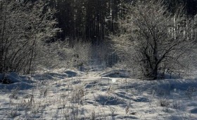 Метель и ураганный ветер обрушатся на Владимирскую область