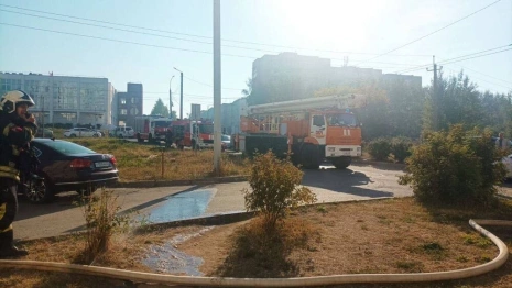 Пожарные спасли сотни рыб во владимирском магазине  