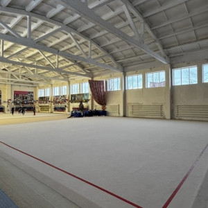 Скандал с избиением 8-летней гимнастки во Владимире вышел на международный уровень