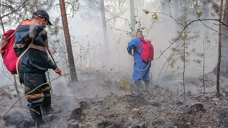 Причиной запаха гари во Владимире стало возгорание торфяников