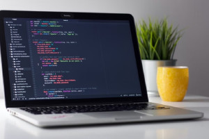 Во Владимире арестовали бизнесмена, обманувшего ректорат ВлГУ на 11 млн 