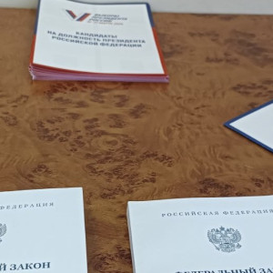 Во Владимире на выборах дистанционно проголосовали 68 тыс. человек