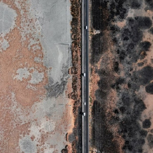 Бастрыкин заинтересовался жизнью ковровских семей в доме с плесенью